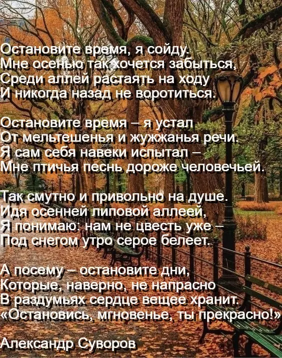 Любимые стихи