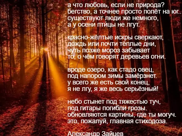 Любимые стихи