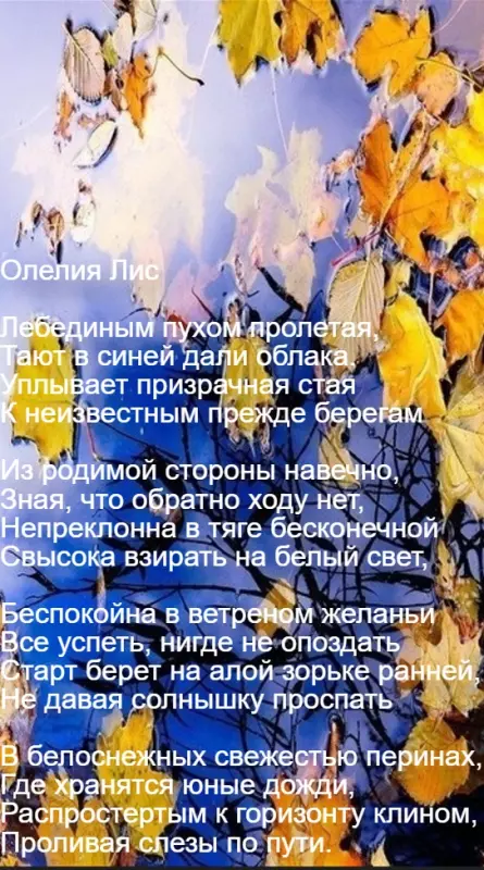 Любимые стихи