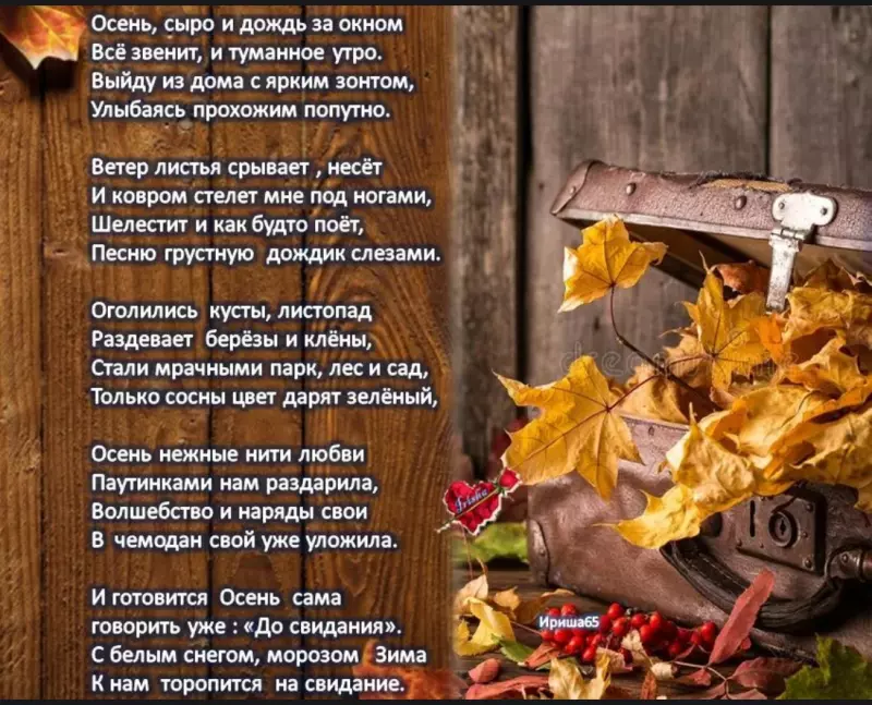 Любимые стихи
