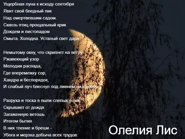 Любимые стихи