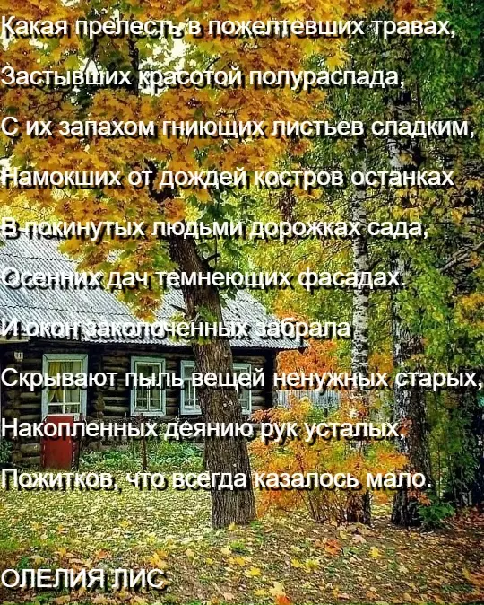Любимые стихи