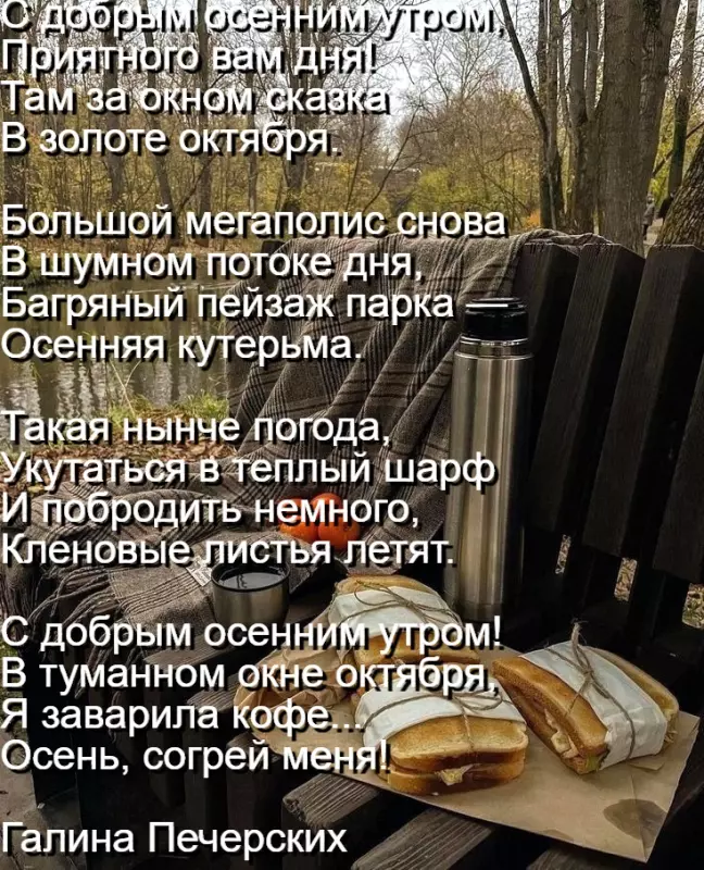Любимые стихи
