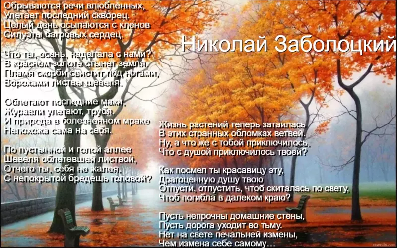 Любимые стихи