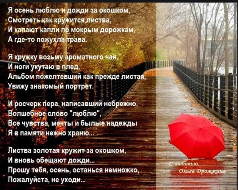 Любимые стихи
