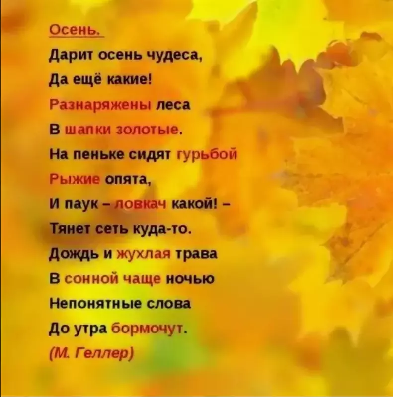 Любимые стихи