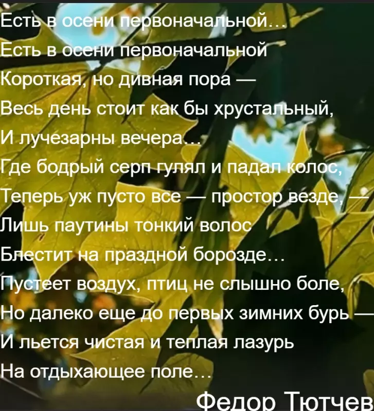 Любимые стихи