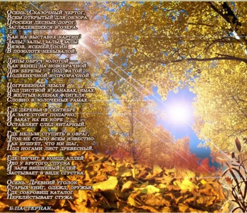 Любимые стихи