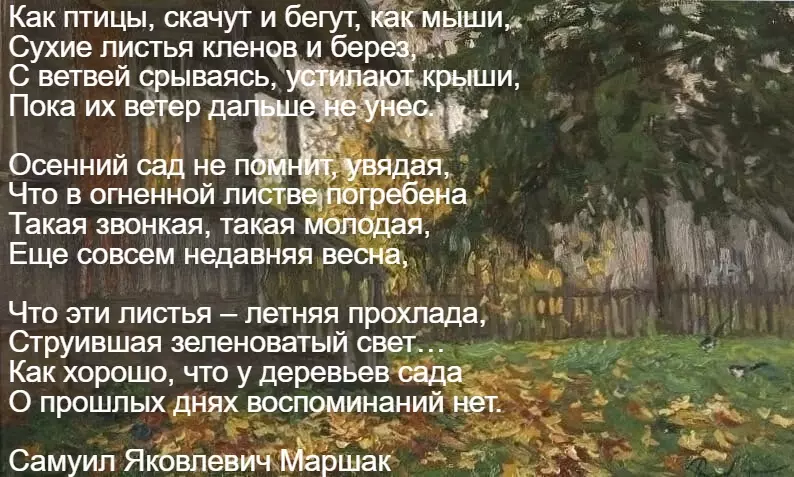 Любимые стихи