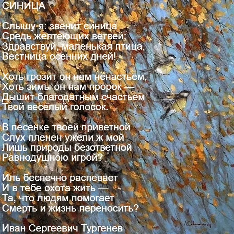 Любимые стихи