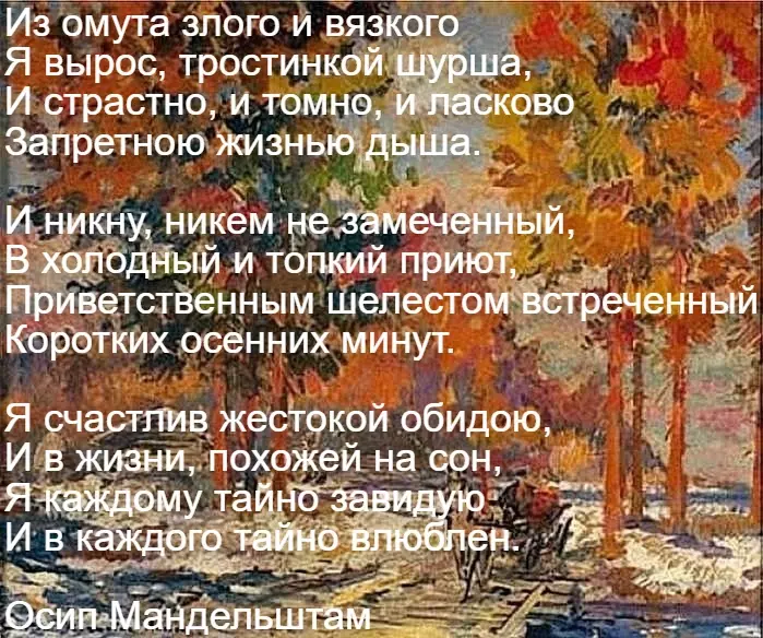 Любимые стихи