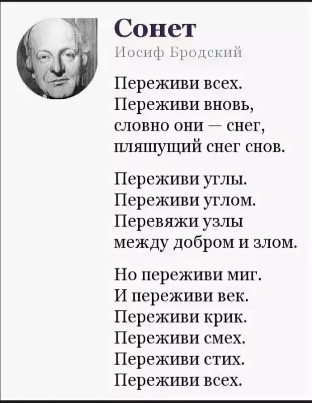 Любимые стихи