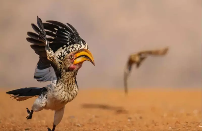 Эти забавные животные