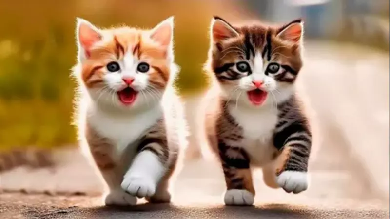 Эти забавные животные