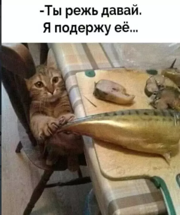 Эти забавные животные