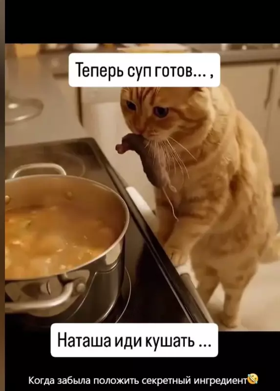 Эти забавные животные