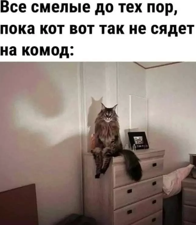 Эти забавные животные