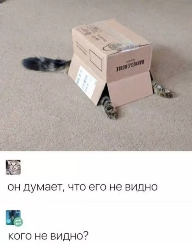 Эти забавные животные