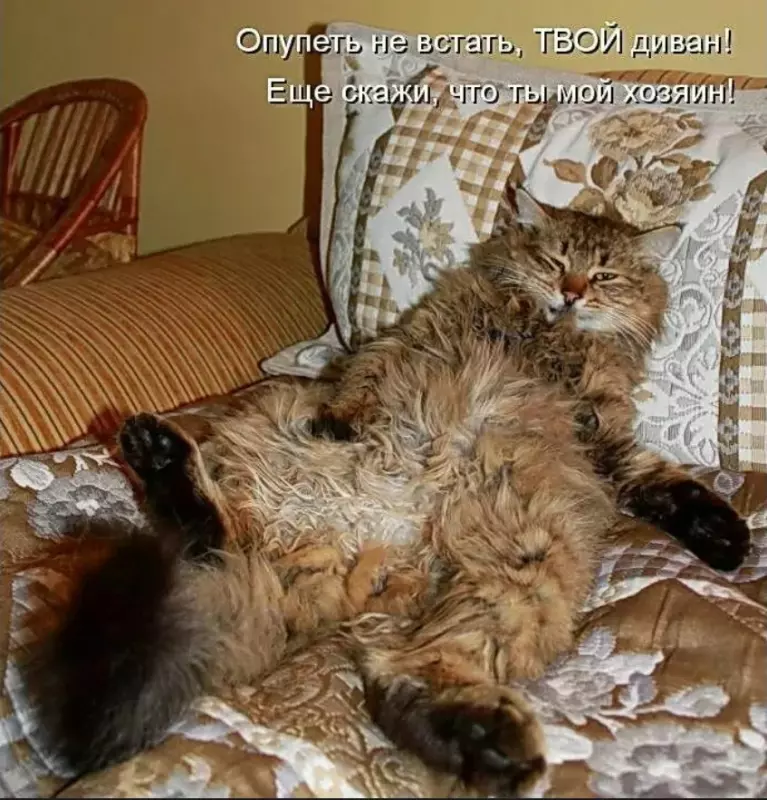 Эти забавные животные