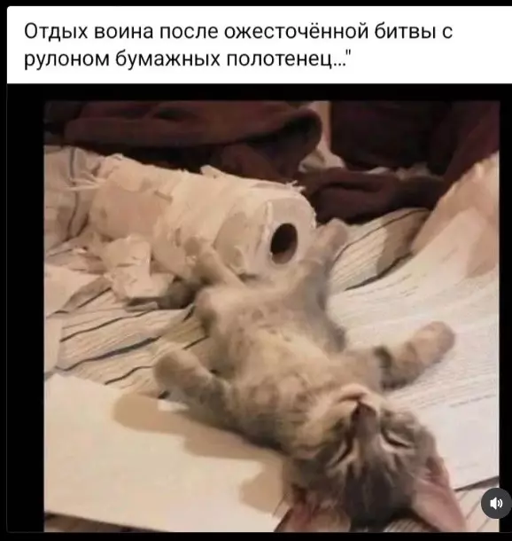 Эти забавные животные