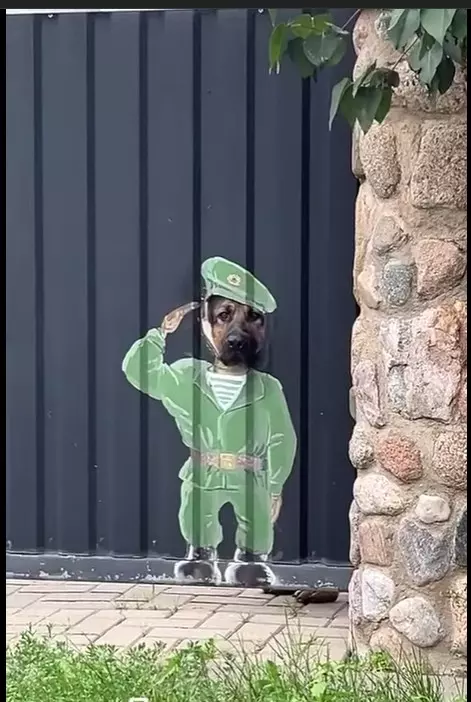 Эти забавные животные