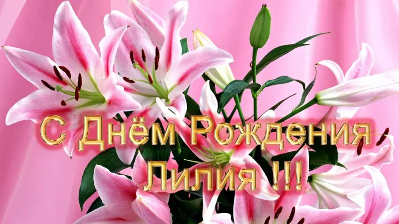 Tapтaлeтки & Ко