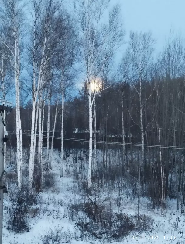 Tapтaлeтки & Ко