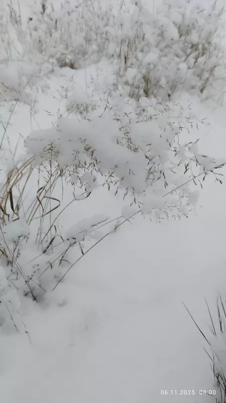 Tapтaлeтки & Ко