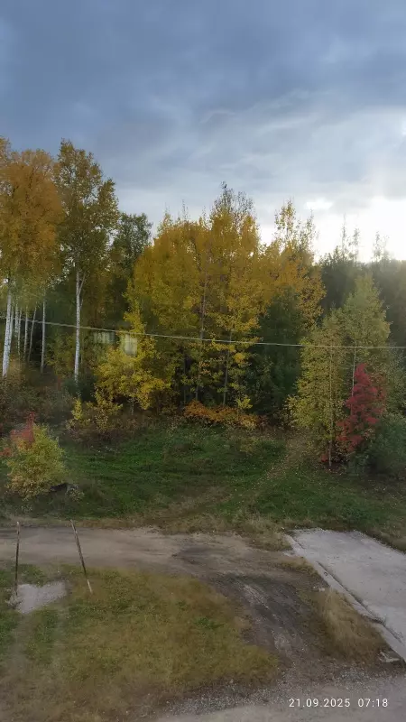 Чайная беседка