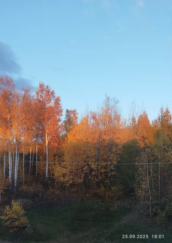 Чайная беседка