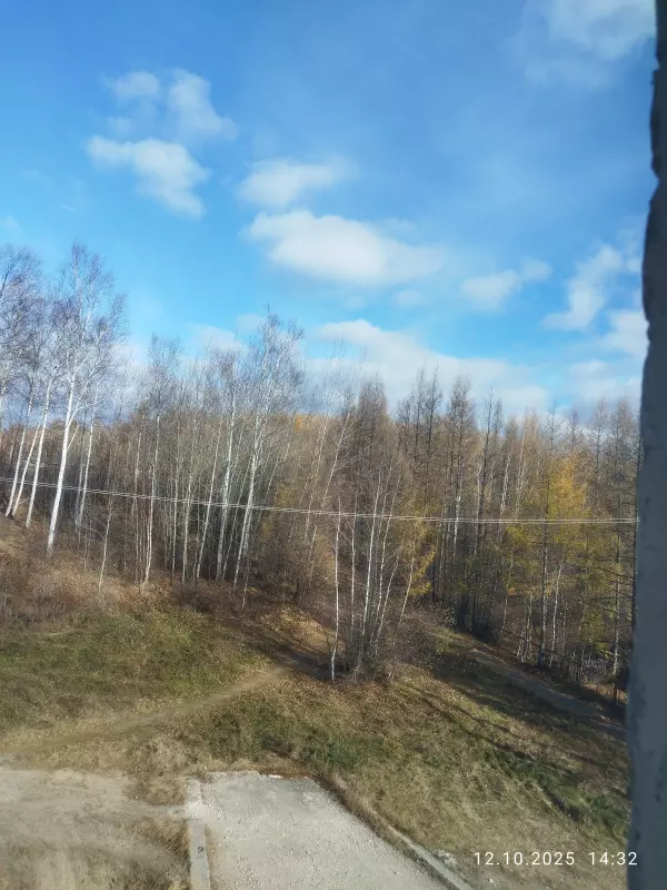 Чайная беседка