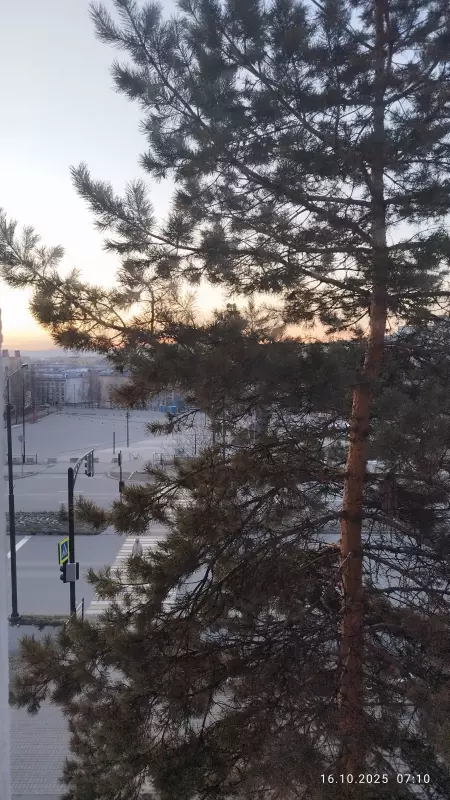 Чайная беседка