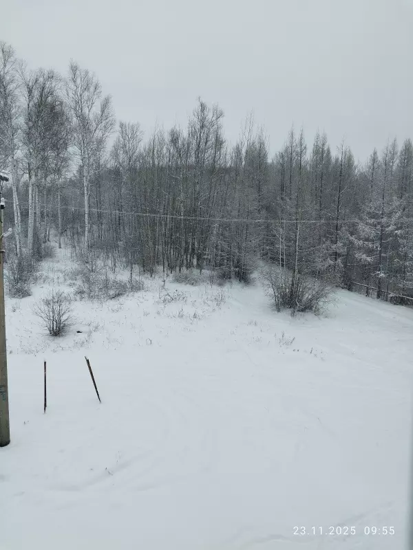 Чайная беседка