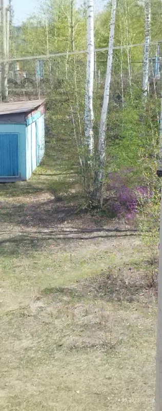 Чайная беседка