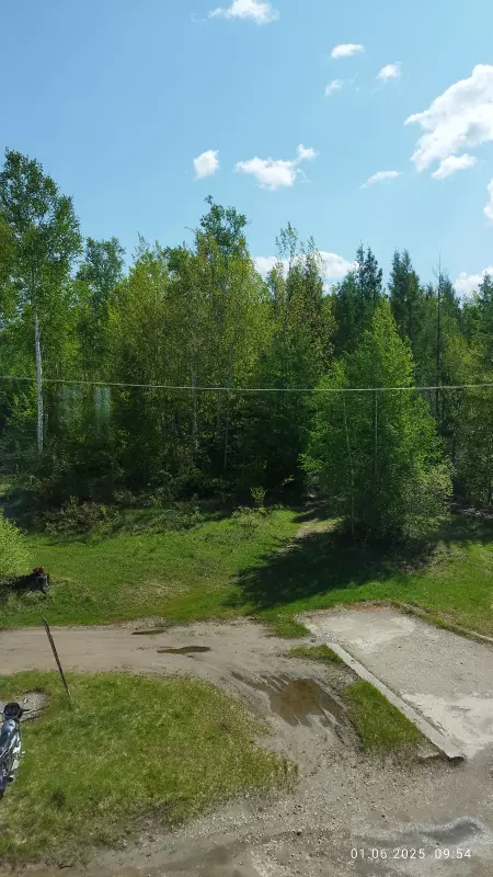 Чайная беседка