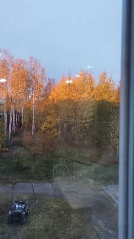 Чайная беседка