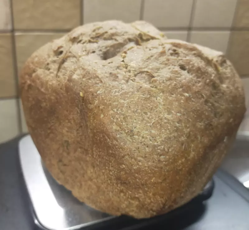 Мини-хлебопечка Panasonic SD PN100