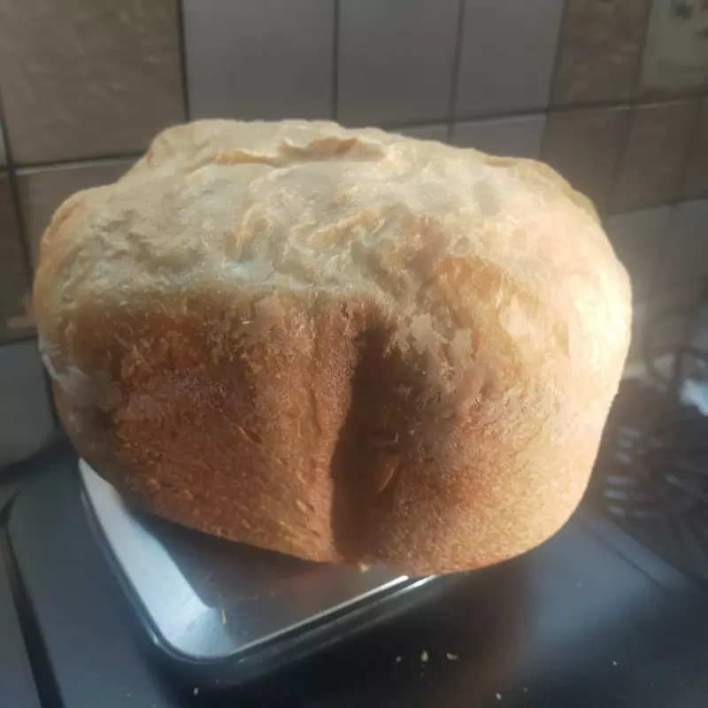 Мини-хлебопечка Panasonic SD PN100