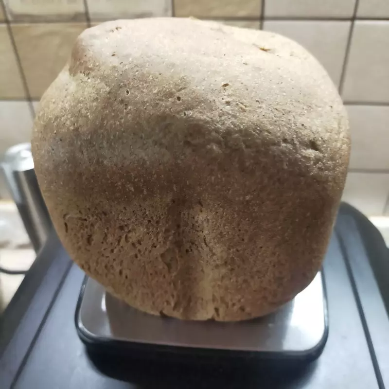 Мини-хлебопечка Panasonic SD PN100