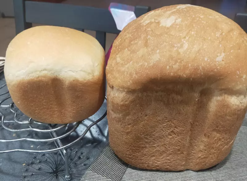 Мини-хлебопечка Panasonic SD PN100