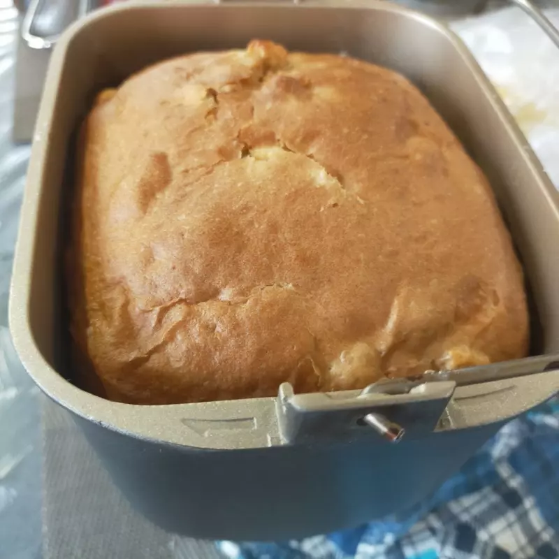 Мини-хлебопечка Panasonic SD PN100