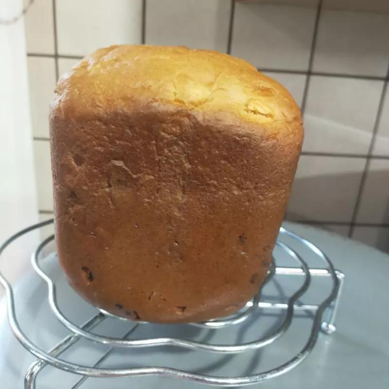 Мини-хлебопечка Panasonic SD PN100