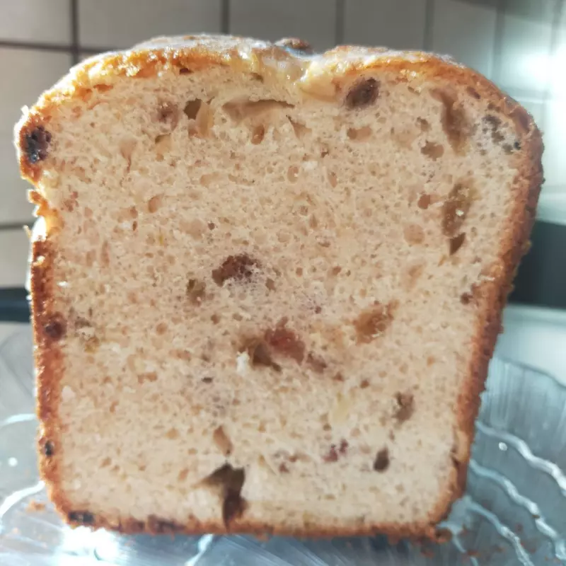 Мини-хлебопечка Panasonic SD PN100