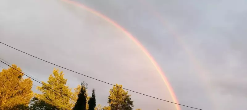 Такое разное небо