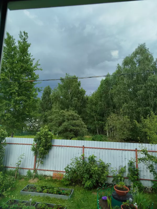 Такое разное небо
