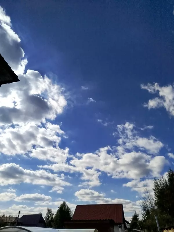 Такое разное небо