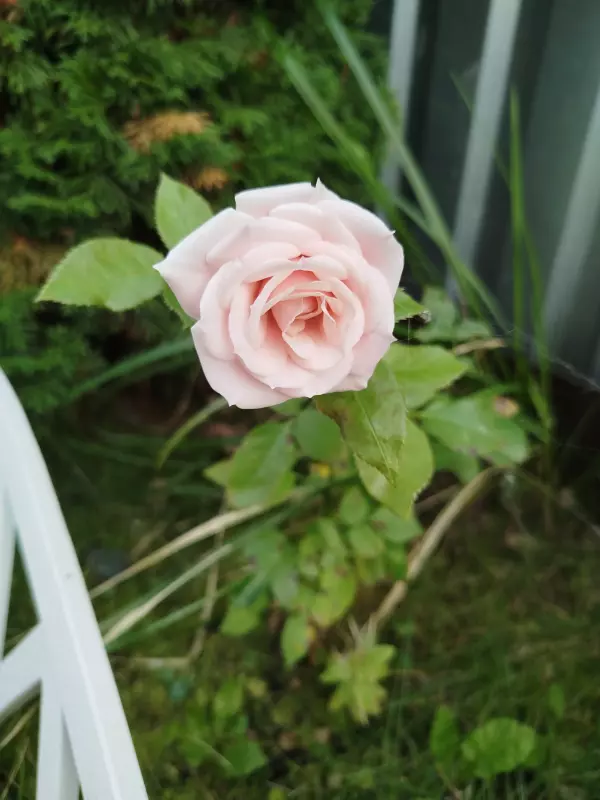 Загородная жизнь - обустройство на земле во всем разнообразии