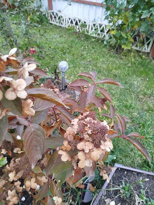 Загородная жизнь - обустройство на земле во всем разнообразии