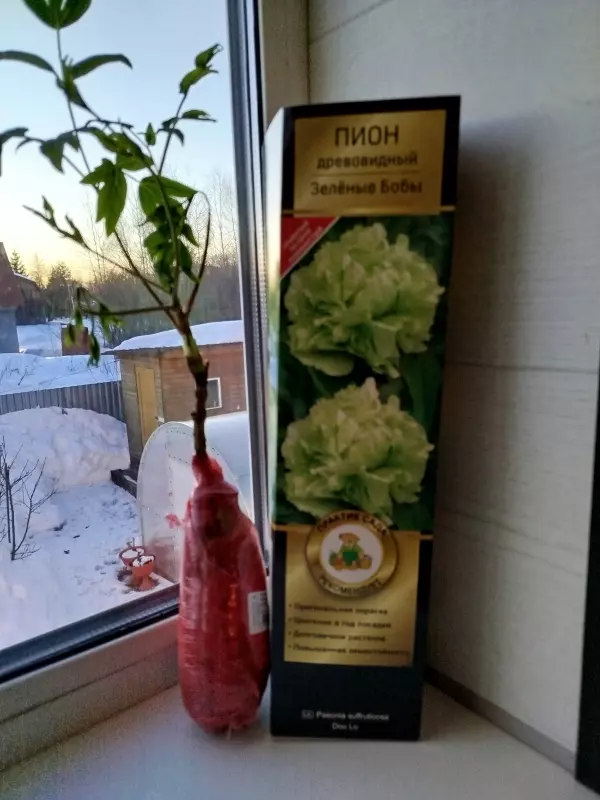 Загородная жизнь - обустройство на земле во всем разнообразии