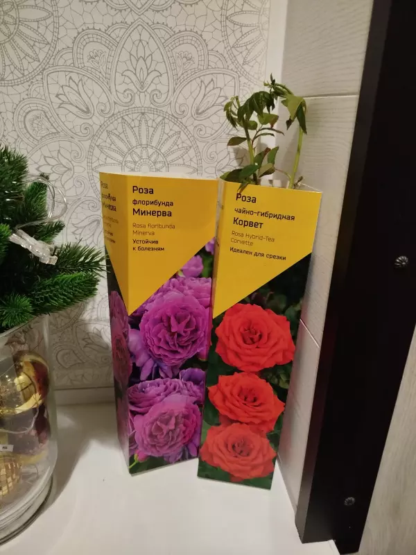 Загородная жизнь - обустройство на земле во всем разнообразии